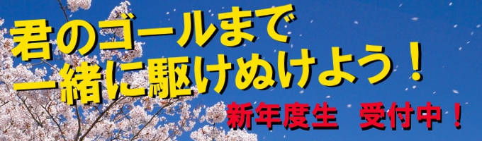 2021年生肖猪各月运势完全指南：哪个月运势最旺？