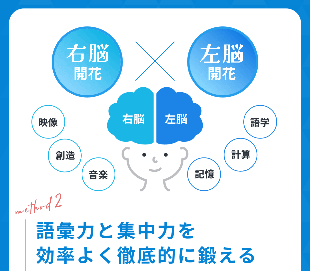 語彙力と集中力を効率よく徹底的に鍛える。西塾の授業はフラッシュカードから始まります。学習における先行体験は新しい科目を学ぶ前に必要な基本的な知識や経験を身につけておくことです。これにより、新しい学習取り入れる準備が整うので効率よく集中して進めることができます。